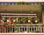 Những căn hộ đẹp hút hồn nhờ ban công hoa và cây xanh 