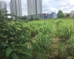 BĐS Phương Trang trải dài khắp Đà Nẵng, hàng loạt dự án bị 