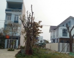  Cấp giấy phép xây dựng có hiệu lực từ ngày 15/8 đối với nhà riêng lẻ 