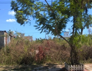 Bán đấ đường Cổ Mân Lan 4 , Hòa Xuân