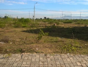 Bán lô đất đường Lư Giang , Hoà Xuân , Cẩm Lệ