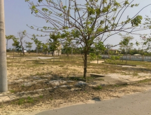 CHỈ VỚI 199 TRIỆU SỞ HỮU ĐẤT TRÊN TUYẾN ĐƯỜNG SA VEN BIỂN ĐÀ NẴNG