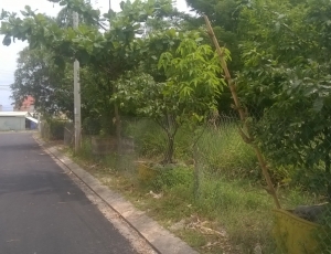 Còn vài lô cuối cùng của dự án khu phố chợ Miếu Bông giá 530tr Lh  0905023314