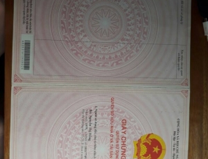 Bán  đất đường 7m5  Huỳnh Xuân Nhị , nam cầu Cẩm lệ