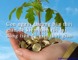 MỞ BÁN BLOCK MỚI KHU ĐÔ THỊ THƯƠNG MẠI BIỂN SEA VIEW PHÍA NAM ĐÀ NẴNG, CHIẾT KHẤU LÊN ĐẾN 5%