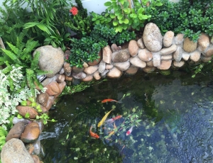 Bán biệt thự cao cấp khu có an ninh bảo vệ sát sông Hàn,cầu Trần thị Lý,Đà Nẵng 