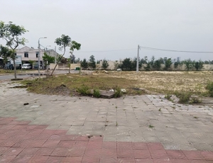 Cần bán gấp lô đất diện tích lớn