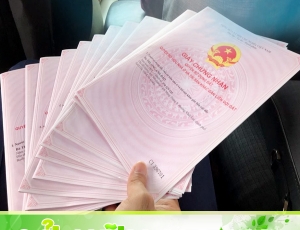 Dự Án Đường Đô Đốc Lân Đường 10m5 Khu Nam Cầu Cẩm Lệ, Vị Trí Đẹp Cơ Sở Hạ Tầng Hoàn Chỉnh