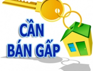 Tôi cần bán lô đất đường 7m5 Huỳnh Xuân Nhị , Hòa Xuân, cẩm lệ, Đà nẵng
