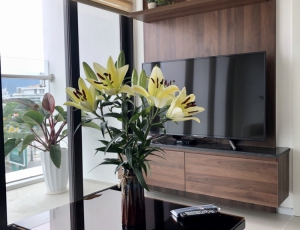 Cho thuê nhiều căn hộ Hiyori chính chủ,full nội thất sang trọng,New 100% giá rẻ nhất TT.0983.750.220