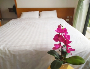 Cho thuê CH theo ngày giá cực rẻ chỉ 300 K/ đêm CH 35 m2 - 45 m2,full nội thất như ở nhà. 0983.750.220