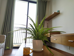 Cho thuê CH 30m2 đến 35 m2 giá chỉ 3 tr-4 tr/Tháng,full nội thất,có ban công,cửa sổ,free dọn phòng.0983750220