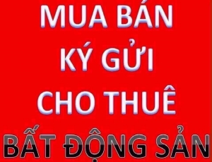 Chuyên nhận kí gửi mua bán,cho thuê căn hộ,nhà,đất,MBKD, kho xưởng tại Đà Nẵng.LH:0905606910